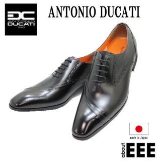 ANTONIO DUCATI/デュカティー