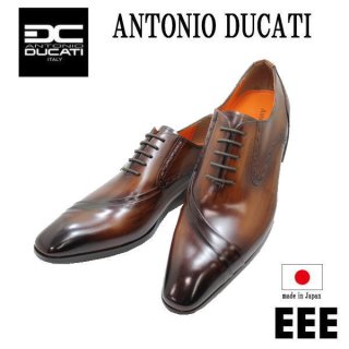 ANTONIO DUCATI/デュカティー